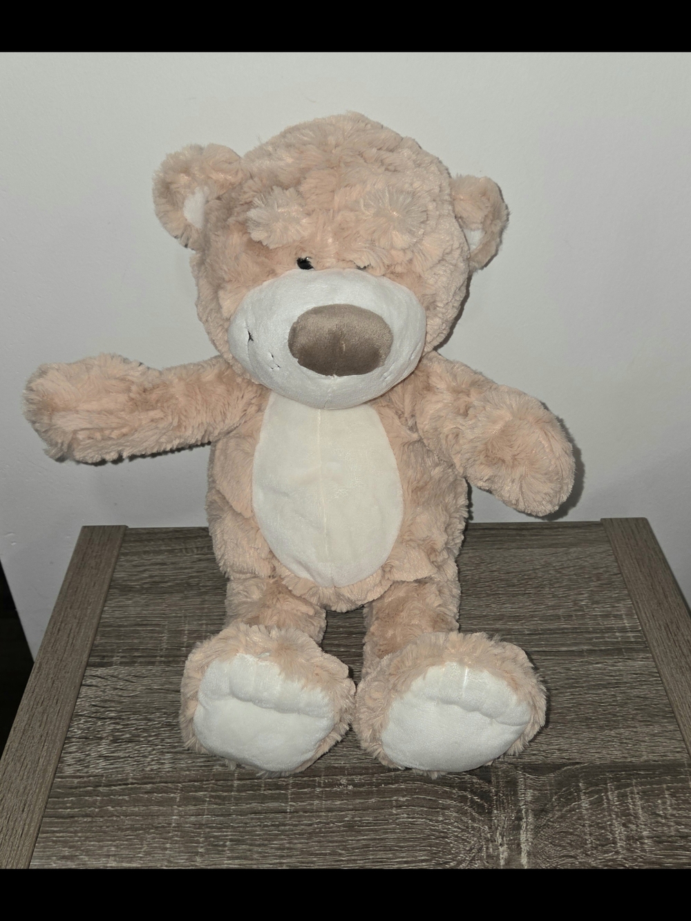 Anniversary 20th Year Teddy Mountain Beige Teddy Bear with Big Feet 16" SEE DESC